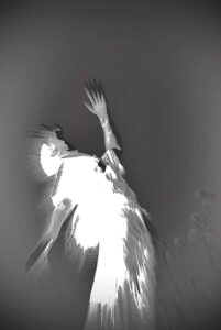 646739655_1649725642897988_2501770923762775495_n