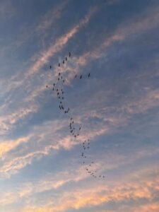 666729033_971557832227707_2910600058943169488_n